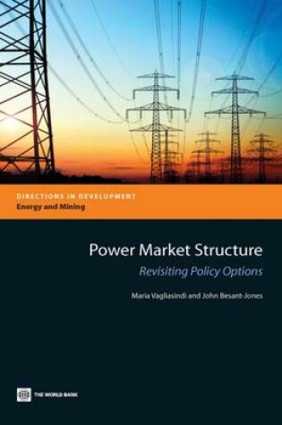 Cover of Power Market Structure