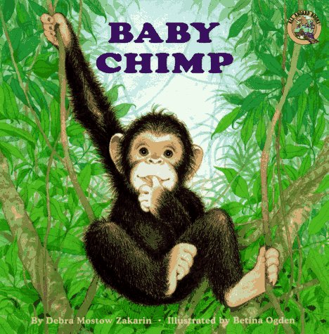 Book cover for Baby Chimp