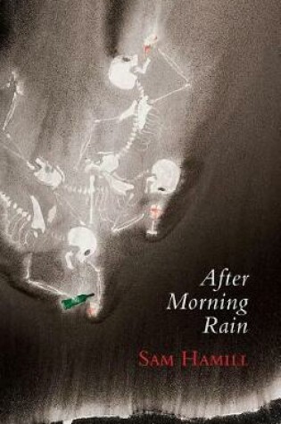 Cover of After Morning Rain