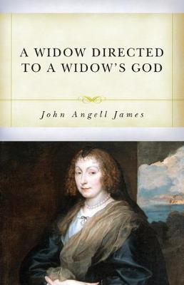 Book cover for Widow Directed to a Widow's God, A