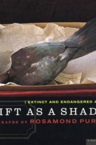 Cover of Swift as a Shadow