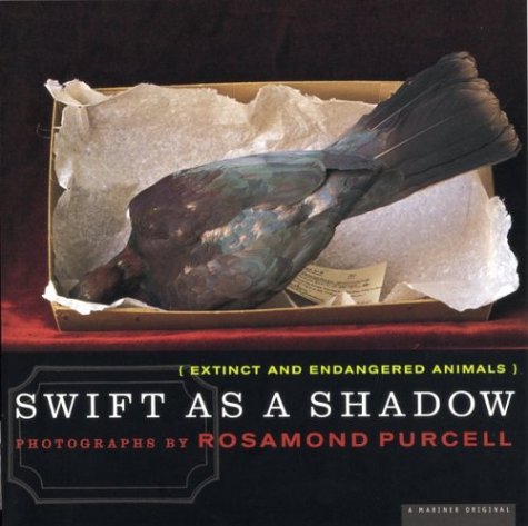 Book cover for Swift as a Shadow