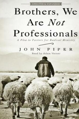 Cover of Brothers, We Are Not Professionals