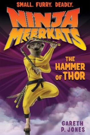 Cover of The Hammer of Thor