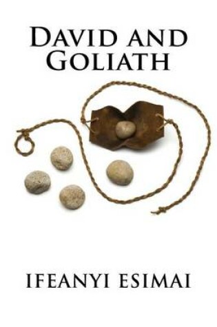 Cover of David and Goliath