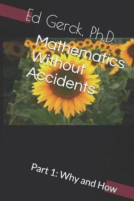 Book cover for Mathematics Without Accidents