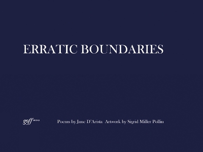 Book cover for Erratic Boundaries