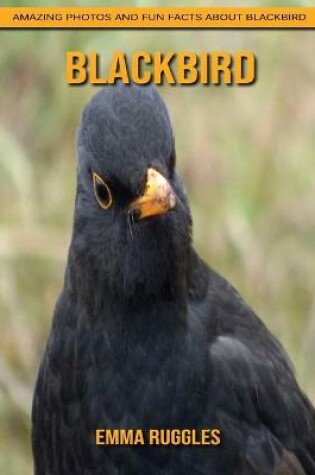 Cover of Blackbird