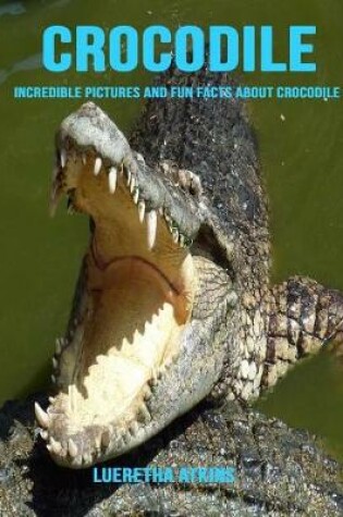 Cover of Crocodile