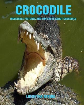 Book cover for Crocodile