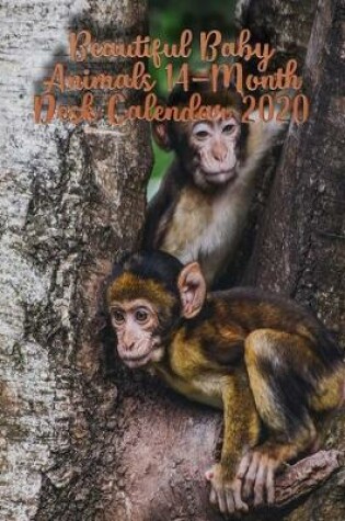 Cover of Beautiful Baby Animals 14-Month Desk Calendar 2020