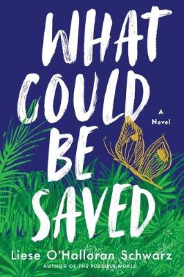 Book cover for What Could Be Saved