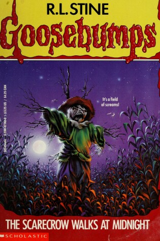 Cover of Scarecrow Walks at Night