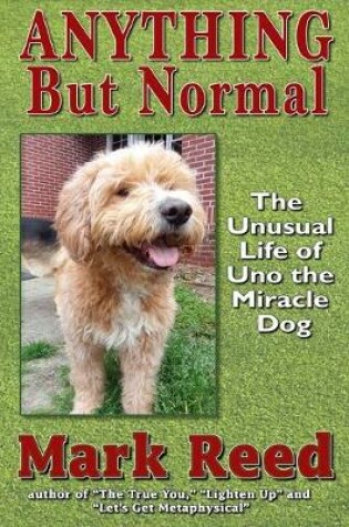 Cover of Anything But Normal