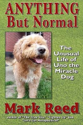 Book cover for Anything But Normal