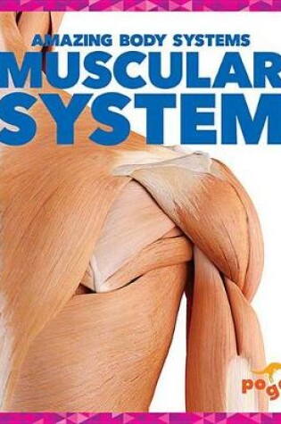 Cover of Muscular System