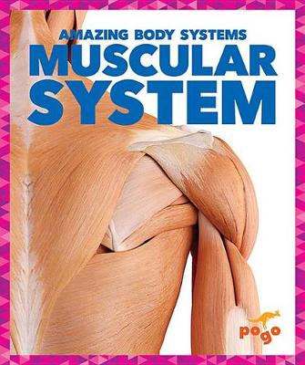 Cover of Muscular System