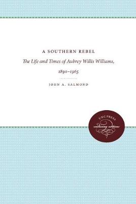 Book cover for A Southern Rebel