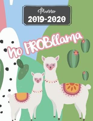 Book cover for Planner 2019-2020 No Probllama