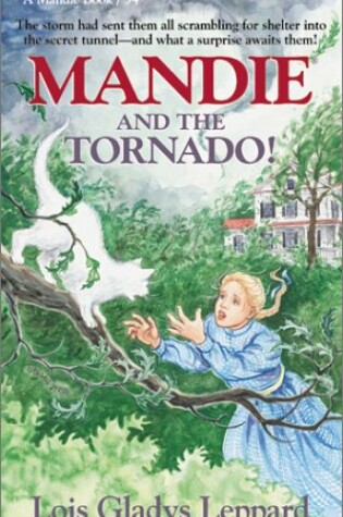 Cover of Mandie and the Tornado!