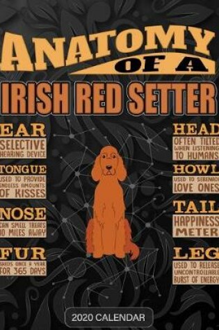 Cover of Anatomy Of A Irish Red Setter