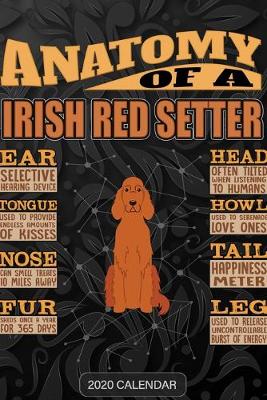 Book cover for Anatomy Of A Irish Red Setter