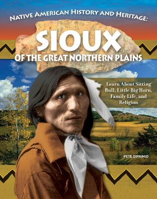 Book cover for Native American History and Heritage: Sioux