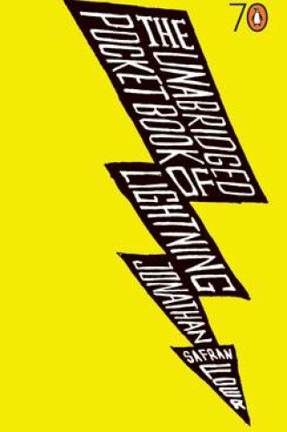Cover of The Unabridged Pocketbook of Lightning