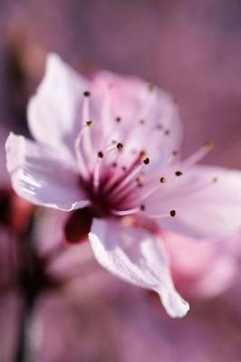 Book cover for The Cherry Blossom Journal