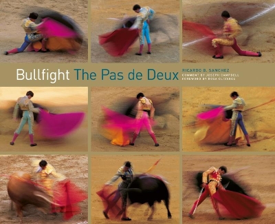 Book cover for Bullfight
