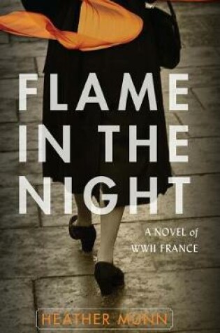 Cover of Flame in the Night