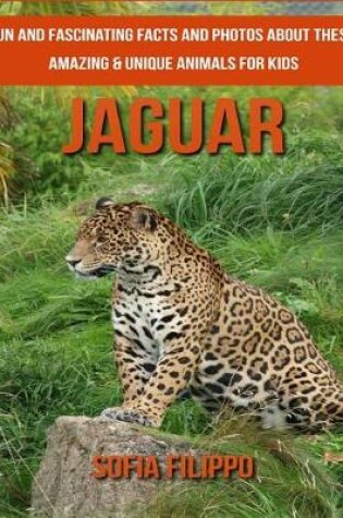 Cover of Jaguar