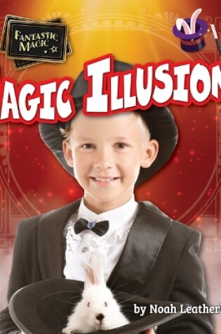 Cover of Magic Illusions