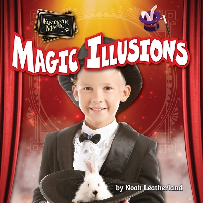 Book cover for Magic Illusions