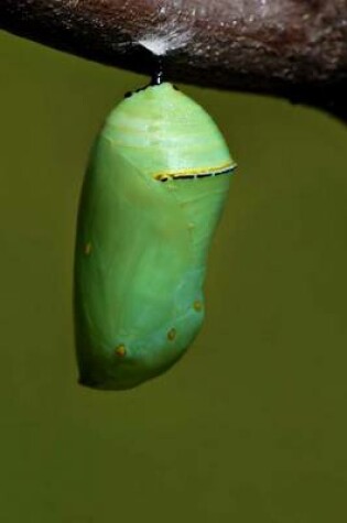 Cover of Jade Green Monarch Butterfly Chrysalis Hanging from a Tree Branch Journal