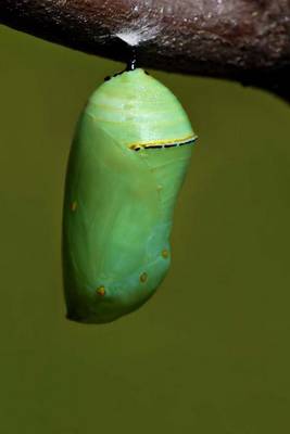 Book cover for Jade Green Monarch Butterfly Chrysalis Hanging from a Tree Branch Journal