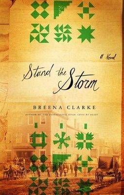 Book cover for Stand The Storm