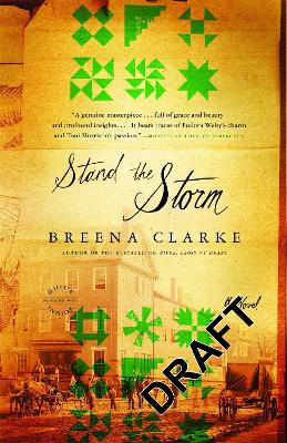 Book cover for Stand The Storm