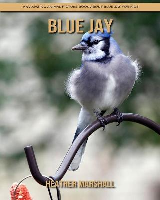 Book cover for Blue Jay