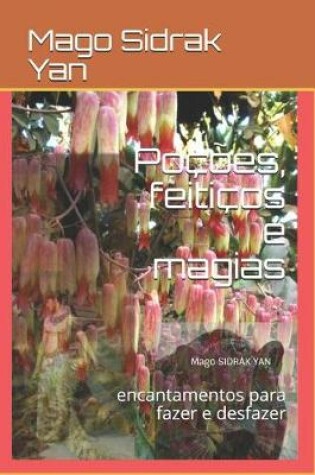 Cover of Pocoes, feiticos e magias