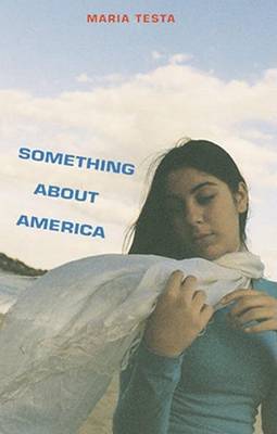 Book cover for Something About America