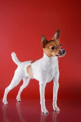 Cover of Toy Fox Terrier