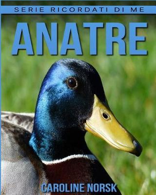 Book cover for Anatre