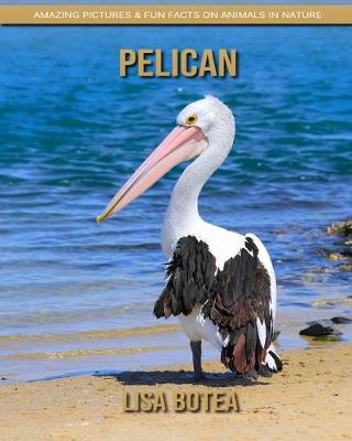 Book cover for Pelican