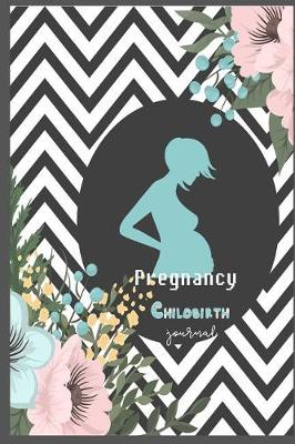 Book cover for Pregnancy Childbirth Journal