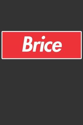 Book cover for Brice