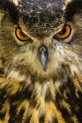 Book cover for Eurasian Eagle Owl Portrait Journal