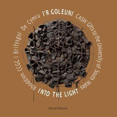 Cover of Into The Light / I'r Goleuni