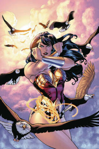Cover of Wonder Woman Who Is Wonder Woman? (New Edition)
