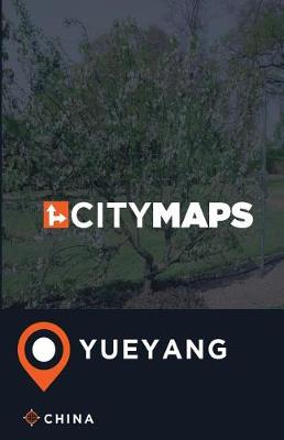 Book cover for City Maps Yueyang China